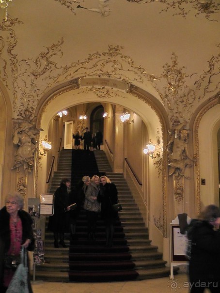 Прага - черный лебедь над Влтавой