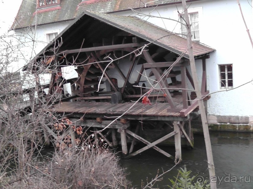 Прага - черный лебедь над Влтавой