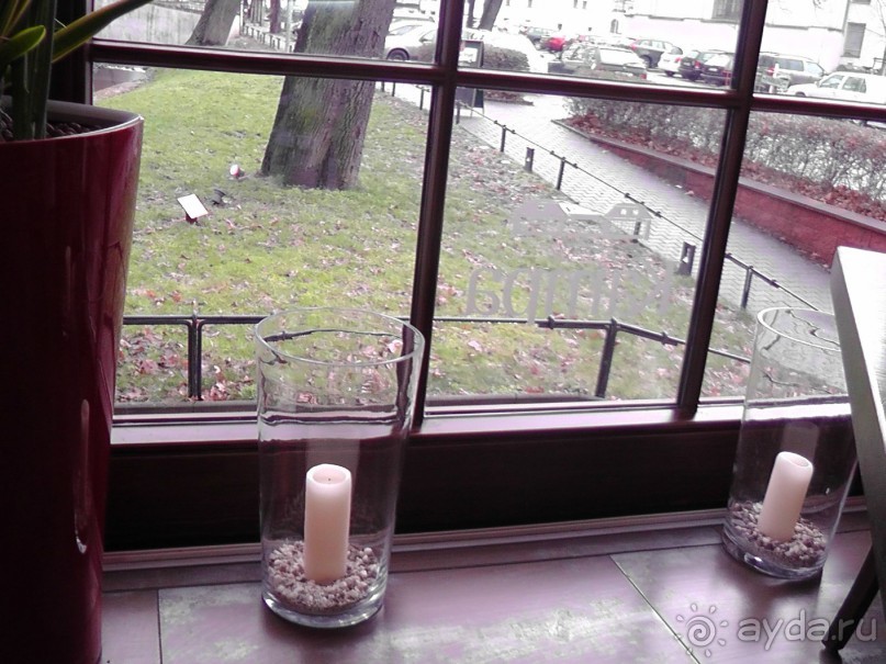 Прага - черный лебедь над Влтавой