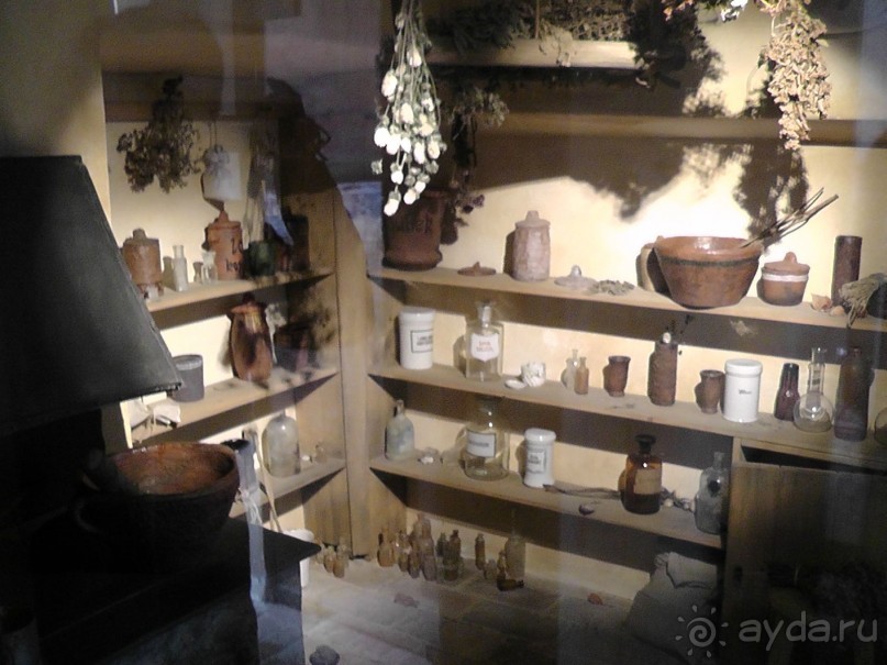 Прага - черный лебедь над Влтавой