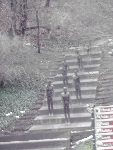 Прага - черный лебедь над Влтавой