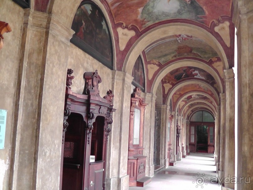 Прага - черный лебедь над Влтавой