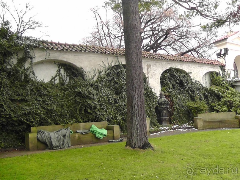 Прага - черный лебедь над Влтавой