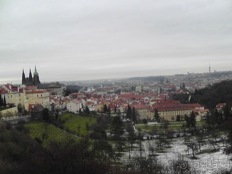 Прага - черный лебедь над Влтавой