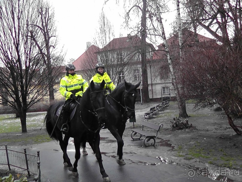 Прага - черный лебедь над Влтавой