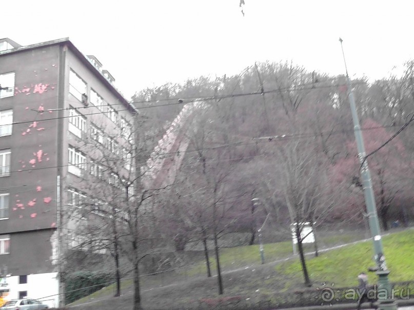 Прага - черный лебедь над Влтавой