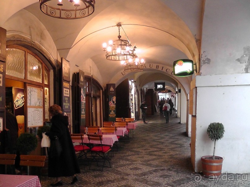 Прага - черный лебедь над Влтавой