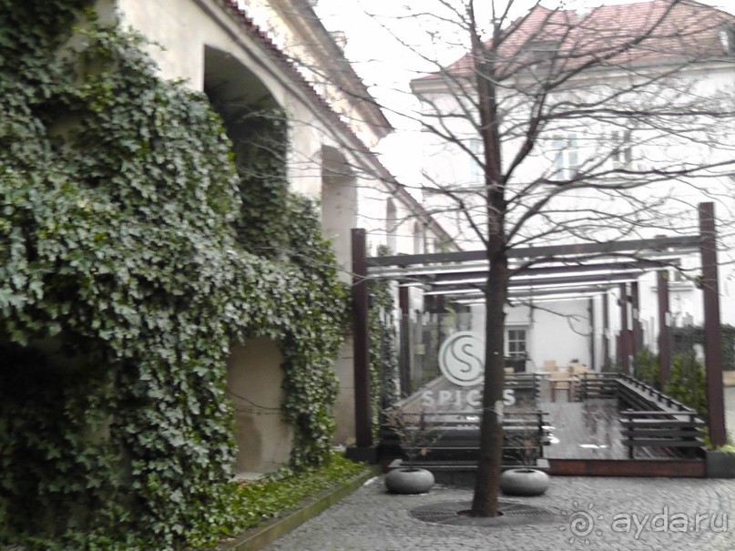 Прага - черный лебедь над Влтавой