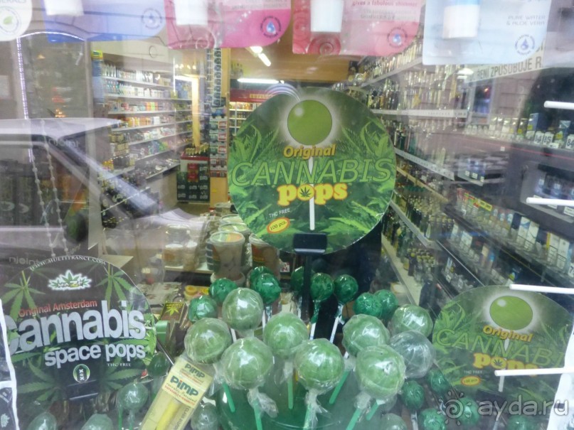 Прага - черный лебедь над Влтавой