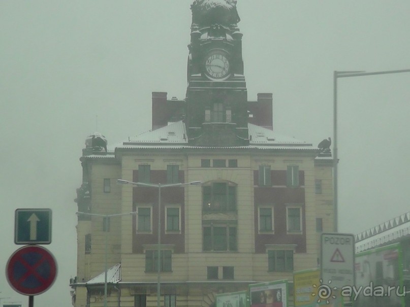 Прага - черный лебедь над Влтавой