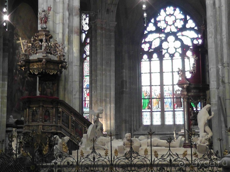 Прага - черный лебедь над Влтавой