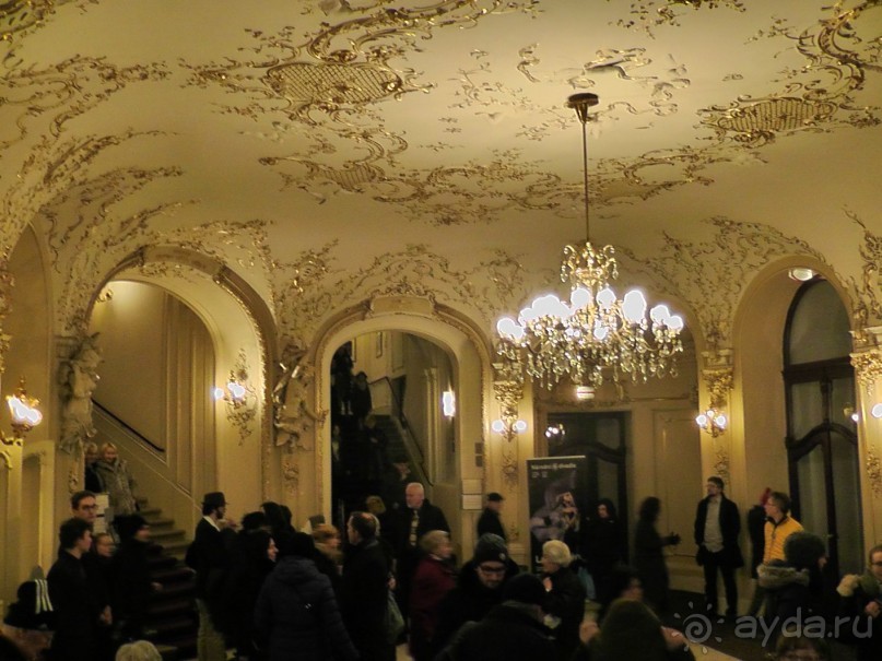 Прага - черный лебедь над Влтавой