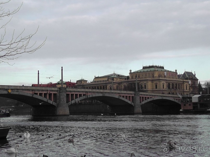 Прага - черный лебедь над Влтавой