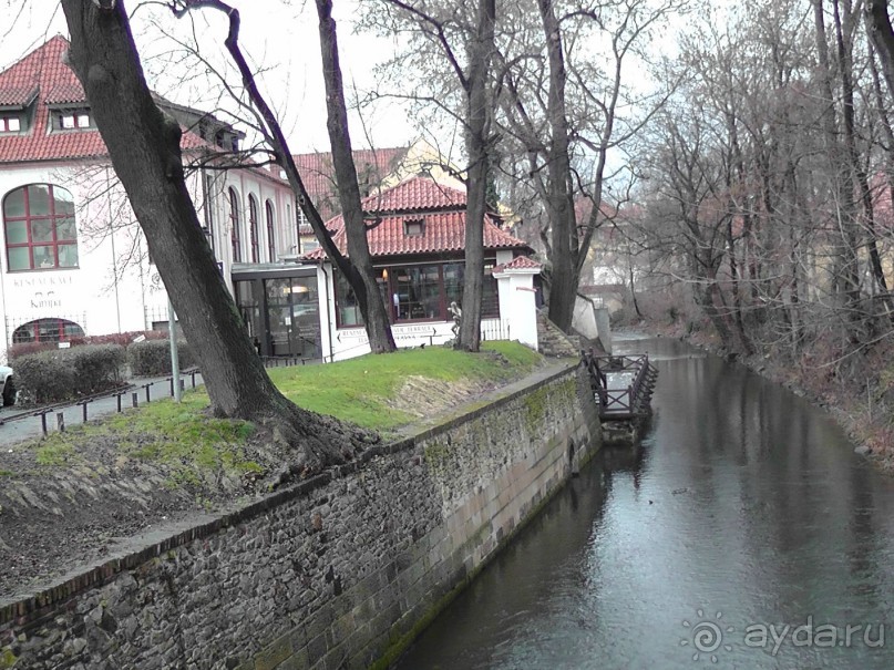Прага - черный лебедь над Влтавой