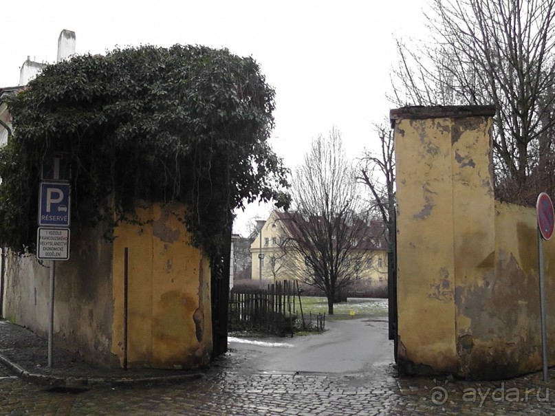 Прага - черный лебедь над Влтавой