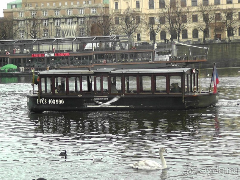 Прага - черный лебедь над Влтавой