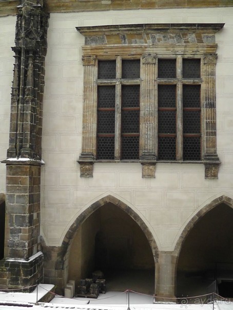 Прага - черный лебедь над Влтавой