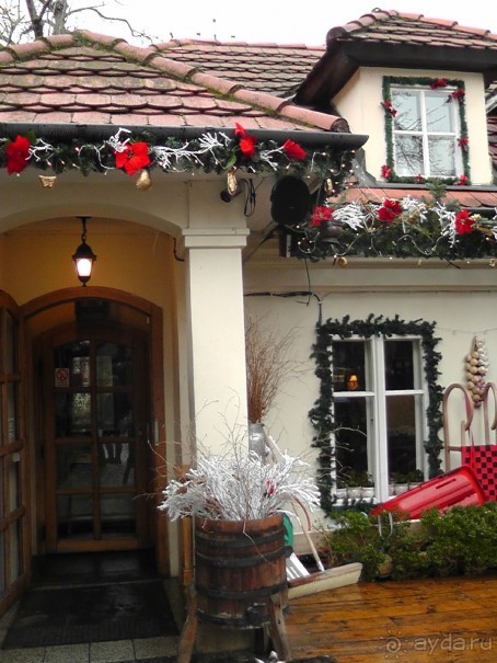 Прага - черный лебедь над Влтавой