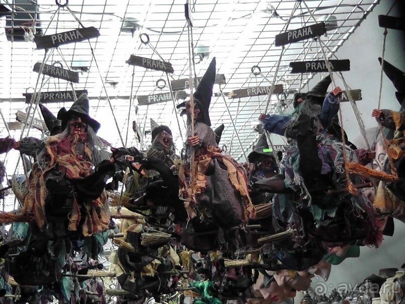 Прага - черный лебедь над Влтавой