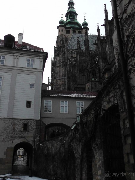 Прага - черный лебедь над Влтавой