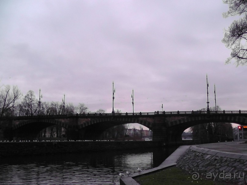 Прага - черный лебедь над Влтавой