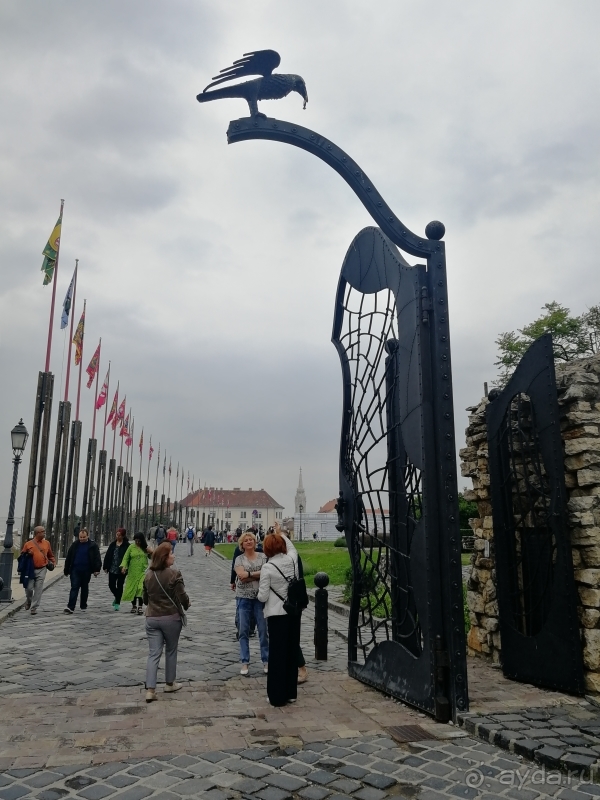 фото Hedef Rose Garden Hotel