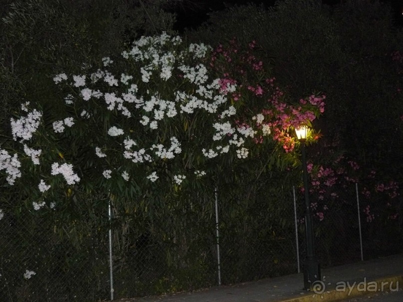 Корфу - остров плывущий во Вселенной! Часть I, пляжный отдых.