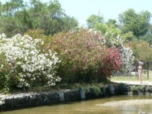 Корфу - остров плывущий во Вселенной! Часть I, пляжный отдых.