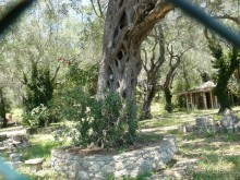 Корфу - остров плывущий во Вселенной! Часть I, пляжный отдых.