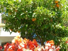 Корфу - остров плывущий во Вселенной! Часть I, пляжный отдых.