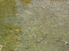 Альбом отзыва "Корфу - остров плывущий во Вселенной! Часть I, пляжный отдых."