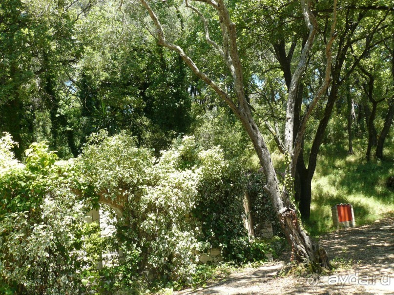 Корфу - остров плывущий во Вселенной! Часть I, пляжный отдых.