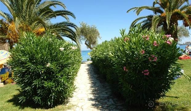 Корфу - остров плывущий во Вселенной! Часть I, пляжный отдых.