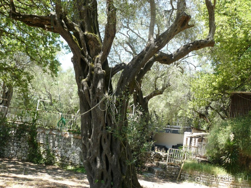 Корфу - остров плывущий во Вселенной! Часть I, пляжный отдых.