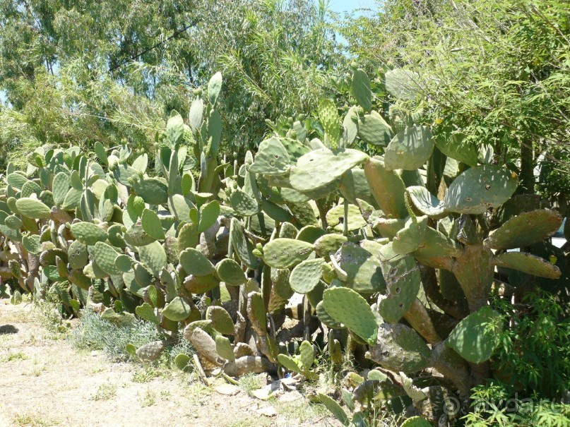 Корфу - остров плывущий во Вселенной! Часть I, пляжный отдых.