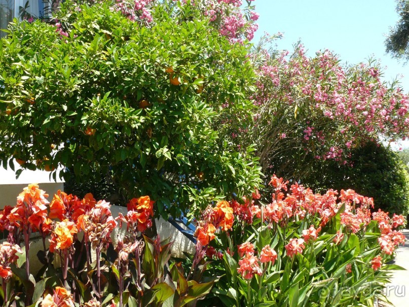 Корфу - остров плывущий во Вселенной! Часть I, пляжный отдых.