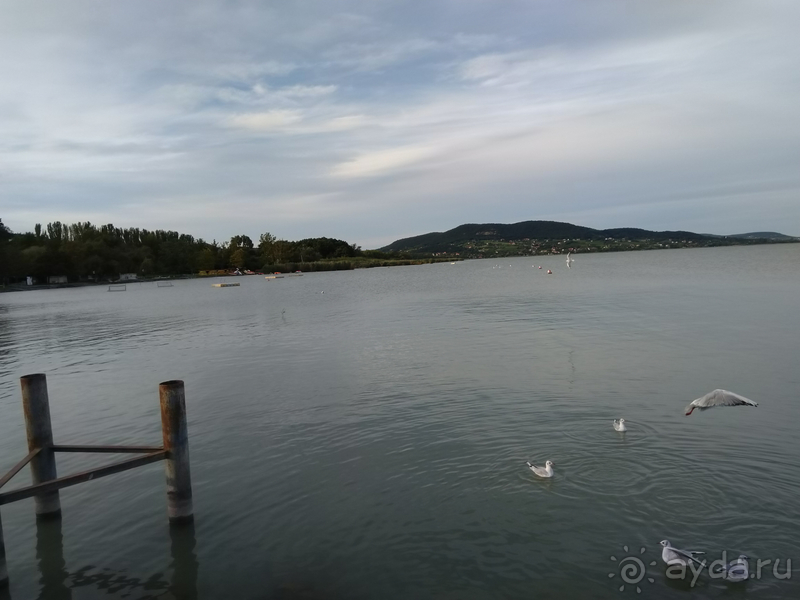 Балатон. Это Венгрия! И снова здрасти! Закат на озере.