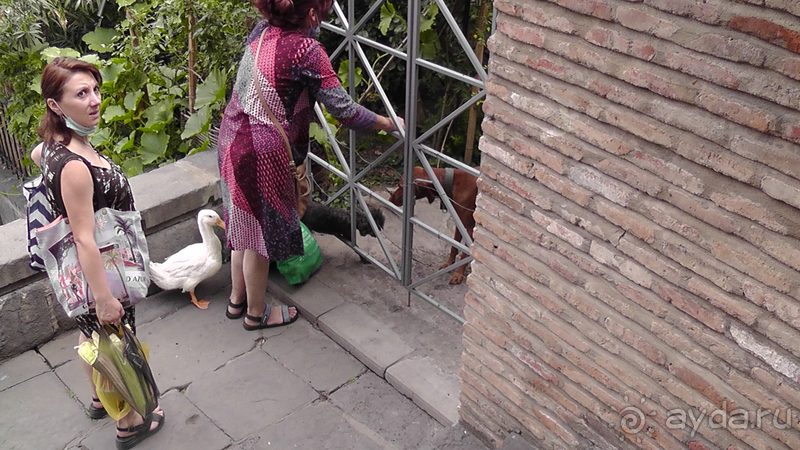 Грузия, Тбилиси. Попала в Грузию в карантин и я попала… Тбилиси, крепость Нарикала.