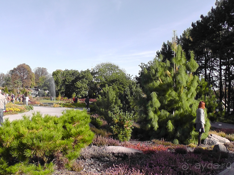 Альбом отзыва "Киев, Ботанический сад. Весна-лето, осень-зима, а в середине Вечность! Осень."