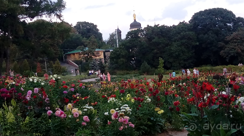 Альбом отзыва "Киев, Ботанический сад. Весна-лето, осень-зима, а в середине Вечность! Осень."