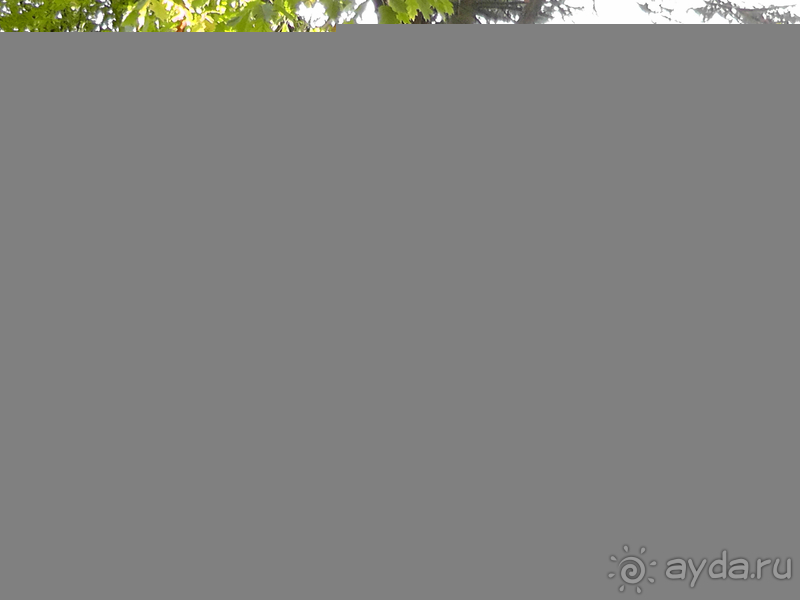 Альбом отзыва "Киев, Ботанический сад. Весна-лето, осень-зима, а в середине Вечность! Осень."