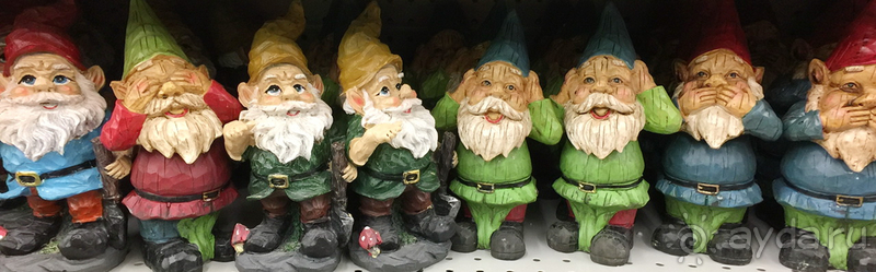 Альбом отзыва "Киев, Ботанический сад. Весна-лето, осень-зима, а в середине Вечность! Осень."