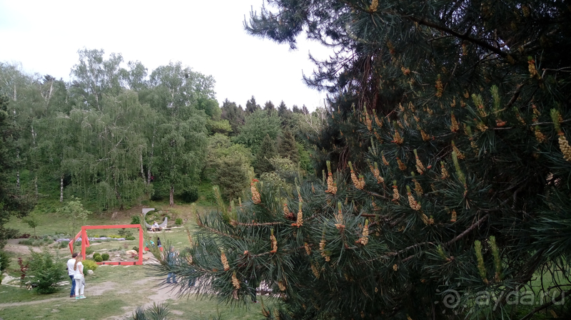 Альбом отзыва "Киев, Ботанический сад. Весна-лето, осень-зима, а в середине Вечность! Осень."