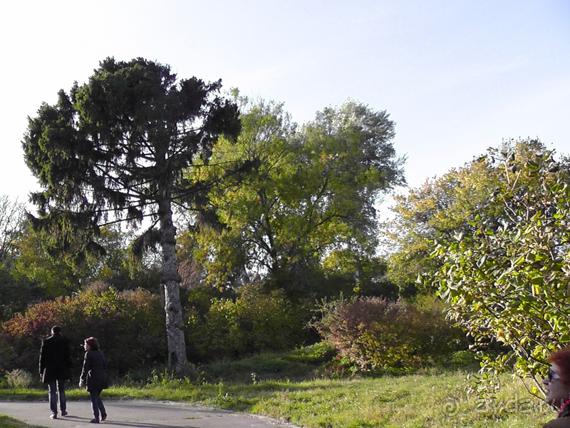 Альбом отзыва "Киев, Ботанический сад. Весна-лето, осень-зима, а в середине Вечность! Осень."