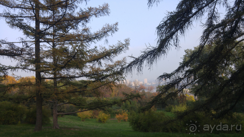 Альбом отзыва "Киев, Ботанический сад. Весна-лето, осень-зима, а в середине Вечность! Осень."