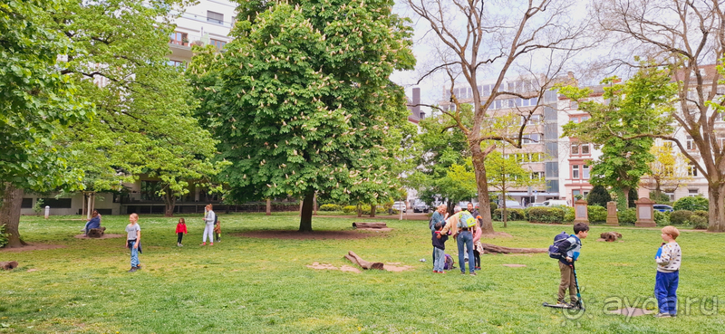 Альбом отзыва "Франкфурт-на-Майне, Гессен. Возрожденная из пепла старая столица. Левый берег, кварталы Альт-Заксенхаузен."