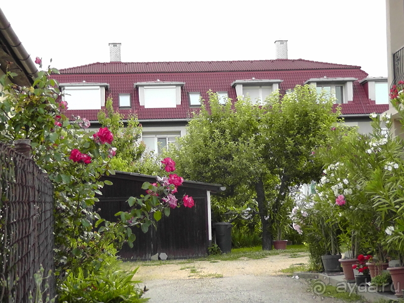 Хевиз. Это Венгрия!  Восьмое чудо света и термальный курорт №1 в Венгрии.