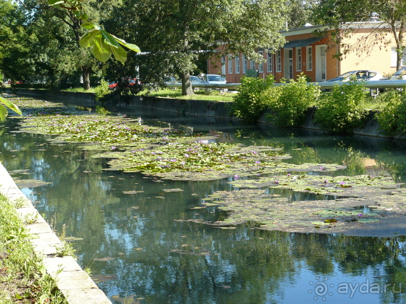 Хевиз. Это Венгрия!  Восьмое чудо света и термальный курорт №1 в Венгрии.