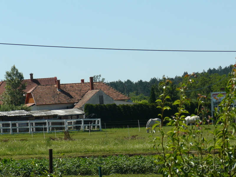 Хевиз. Это Венгрия!  Восьмое чудо света и термальный курорт №1 в Венгрии.