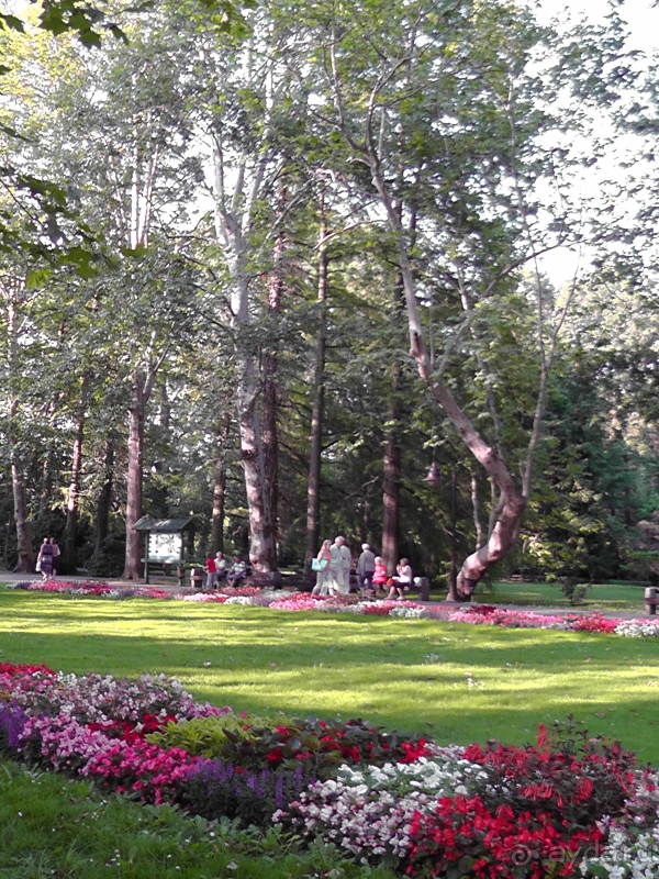 Хевиз. Это Венгрия!  Восьмое чудо света и термальный курорт №1 в Венгрии.